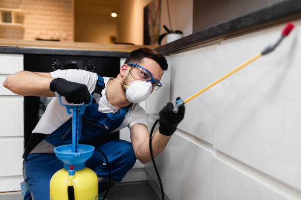 Best Termite Control Services  in Forest Hills, PA