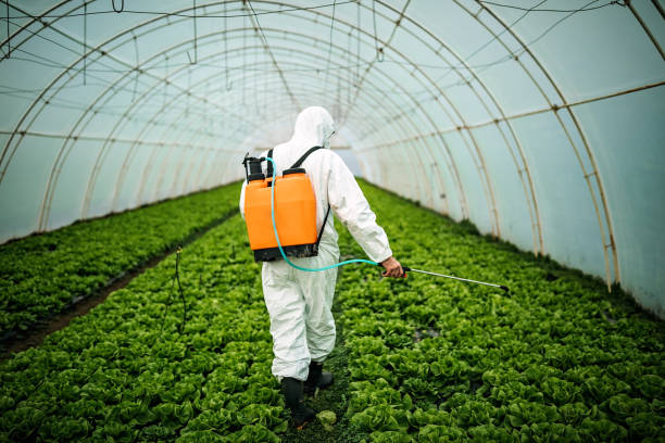 Best Pest Inspection Near Me  in Forest Hills, PA