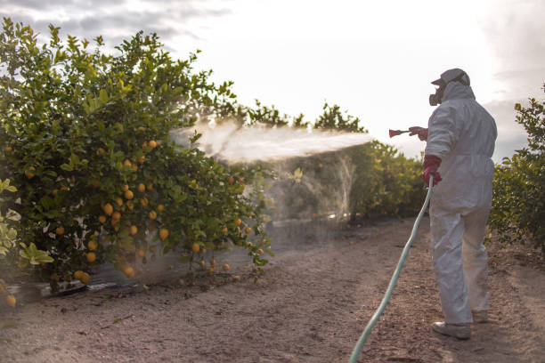 Pest Prevention Services in Forest Hills, PA