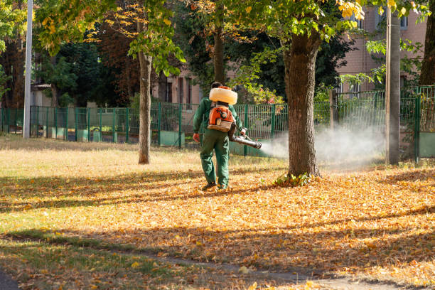 Best Cockroach Control Services  in Forest Hills, PA