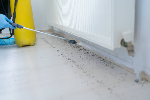 Best Commercial Pest Control Services  in Forest Hills, PA