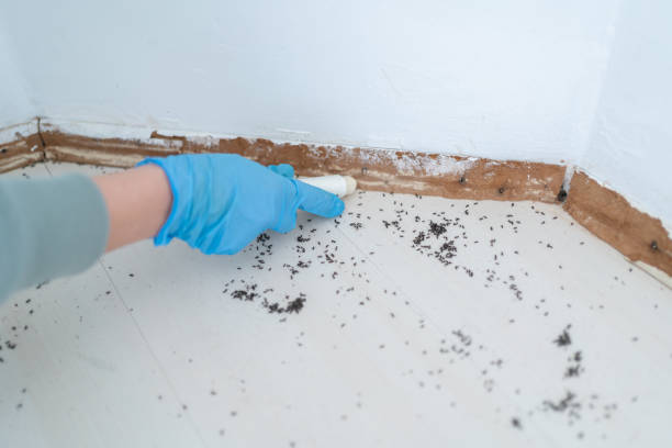 Best Commercial Pest Control Services  in Forest Hills, PA